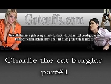 Burglar Porn Captions - Charlie Mancini: Cat Burglar part#1